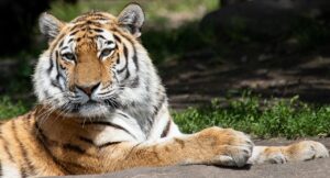 Lisbon Zoo