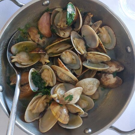 Clams