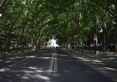Tour of Lisbon. Avenida da Liberdade