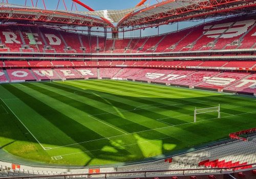 Tailor-made tour. Benfica Stadium
