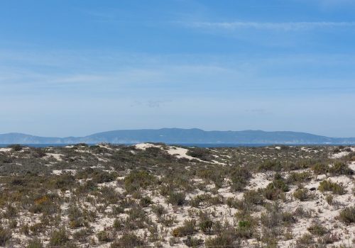 Tour Comporta from Lisbon. The Dunes of Comporta