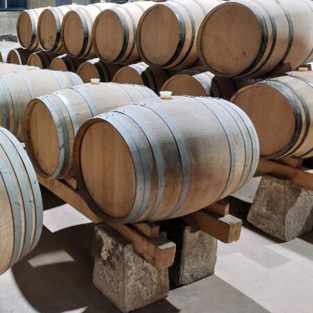 Wineries Around Lisbon